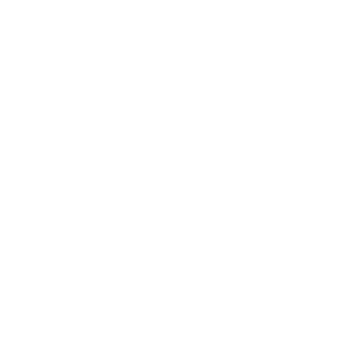 bcchr_logo