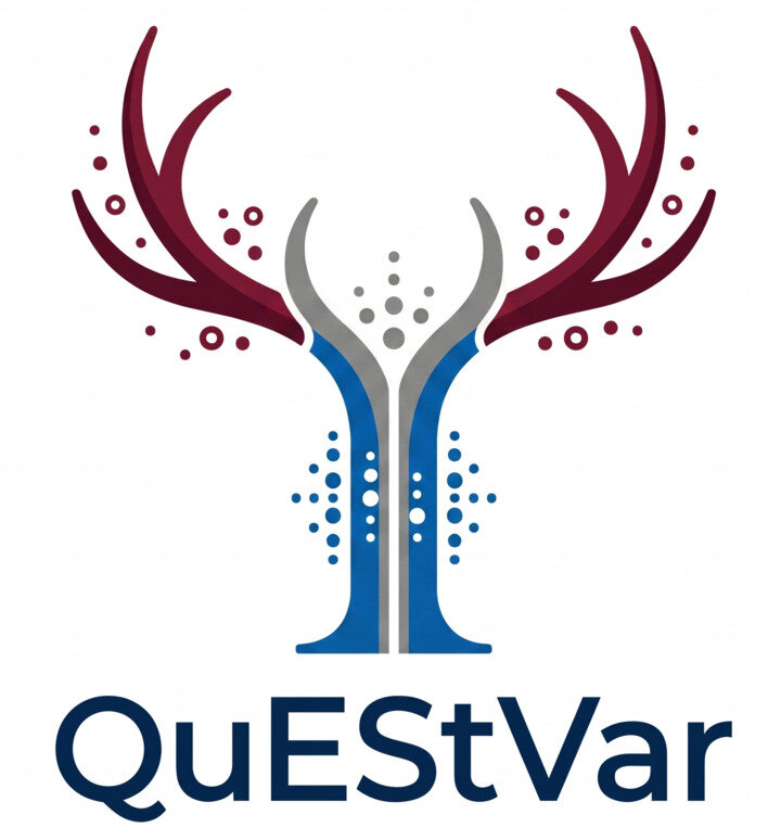QuEStVar screenshot