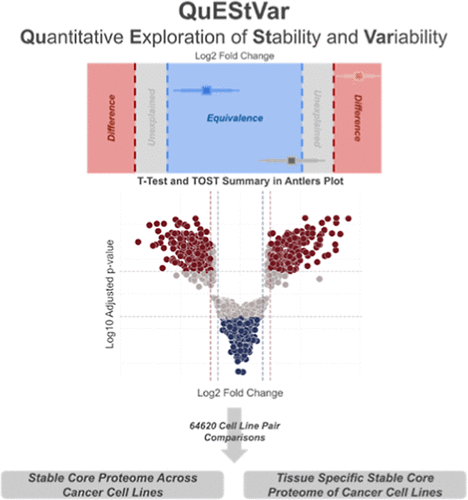Statistical Testing for Protein Equivalence Identifies Core Functional Modules Conserved across 360 Cancer Cell Lines figure