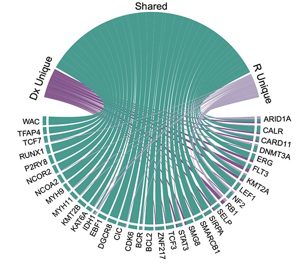 Targetable lesions and proteomes predict therapy sensitivity through disease evolution in pediatric acute lymphoblastic leukemia figure