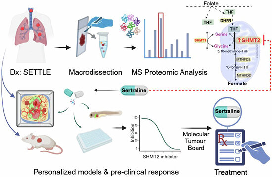 Proteomics and personalized PDX models identify treatment for a progressive malignancy within an actionable timeframe figure